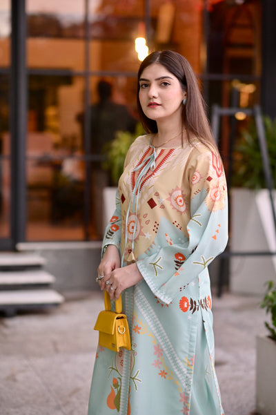 Dilnashin Co-ord 2 PC