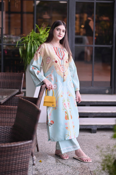 Dilnashin Co-ord 2 PC